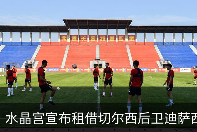 水晶宫宣布租借切尔西后卫迪萨西，无买断条款